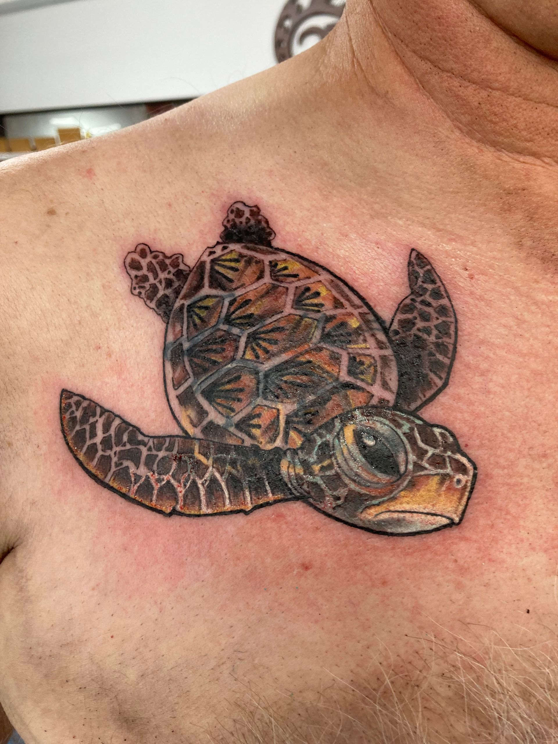 A Man Has a Tattoo of a Sea Turtle on His Chest — La Bomba Loca Tattoo in Cairns City, QLD