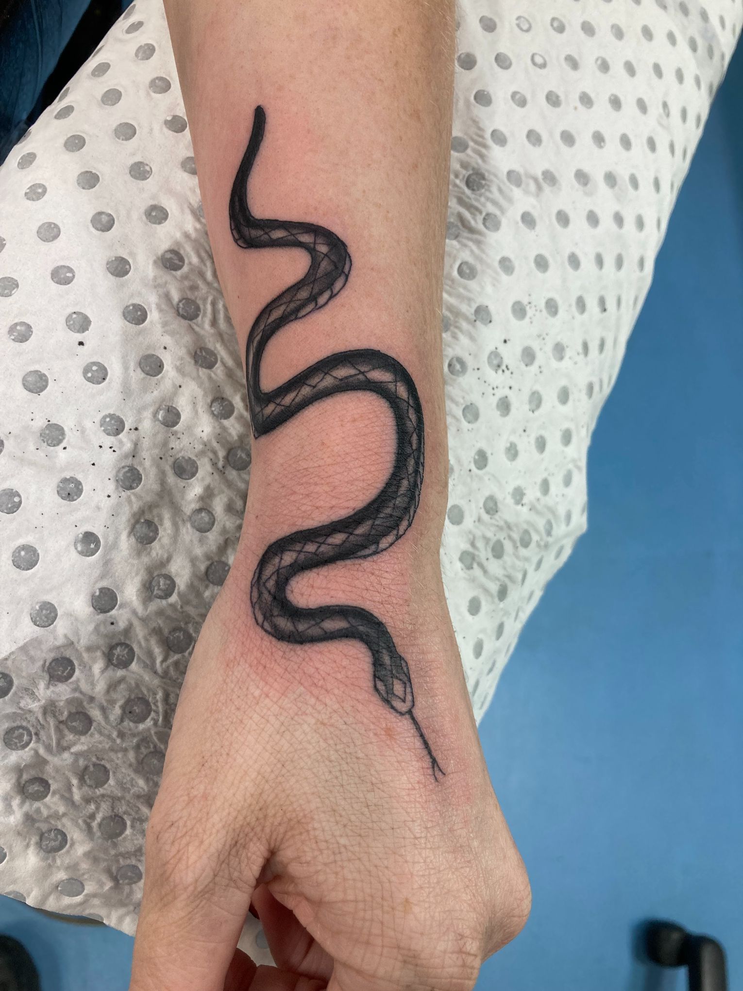 A Person Has a Tattoo of a Snake on Their Wrist — La Bomba Loca Tattoo in Cairns City, QLD