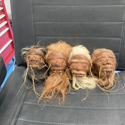 A Group of Furry Heads Are Sitting on Top of a Chair — La Bomba Loca Tattoo in Cairns City, QLD