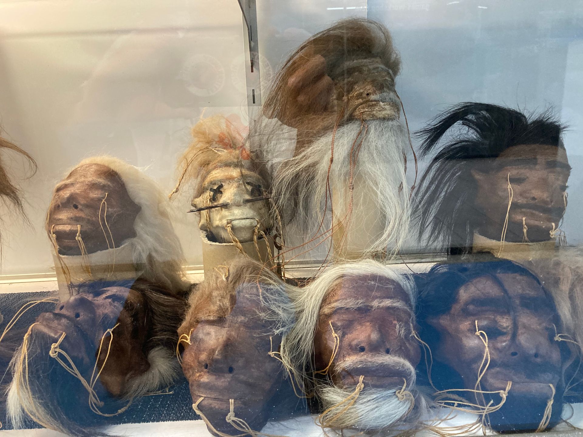 A Display Case With a Bunch of Heads — La Bomba Loca Tattoo in Cairns City, QLD