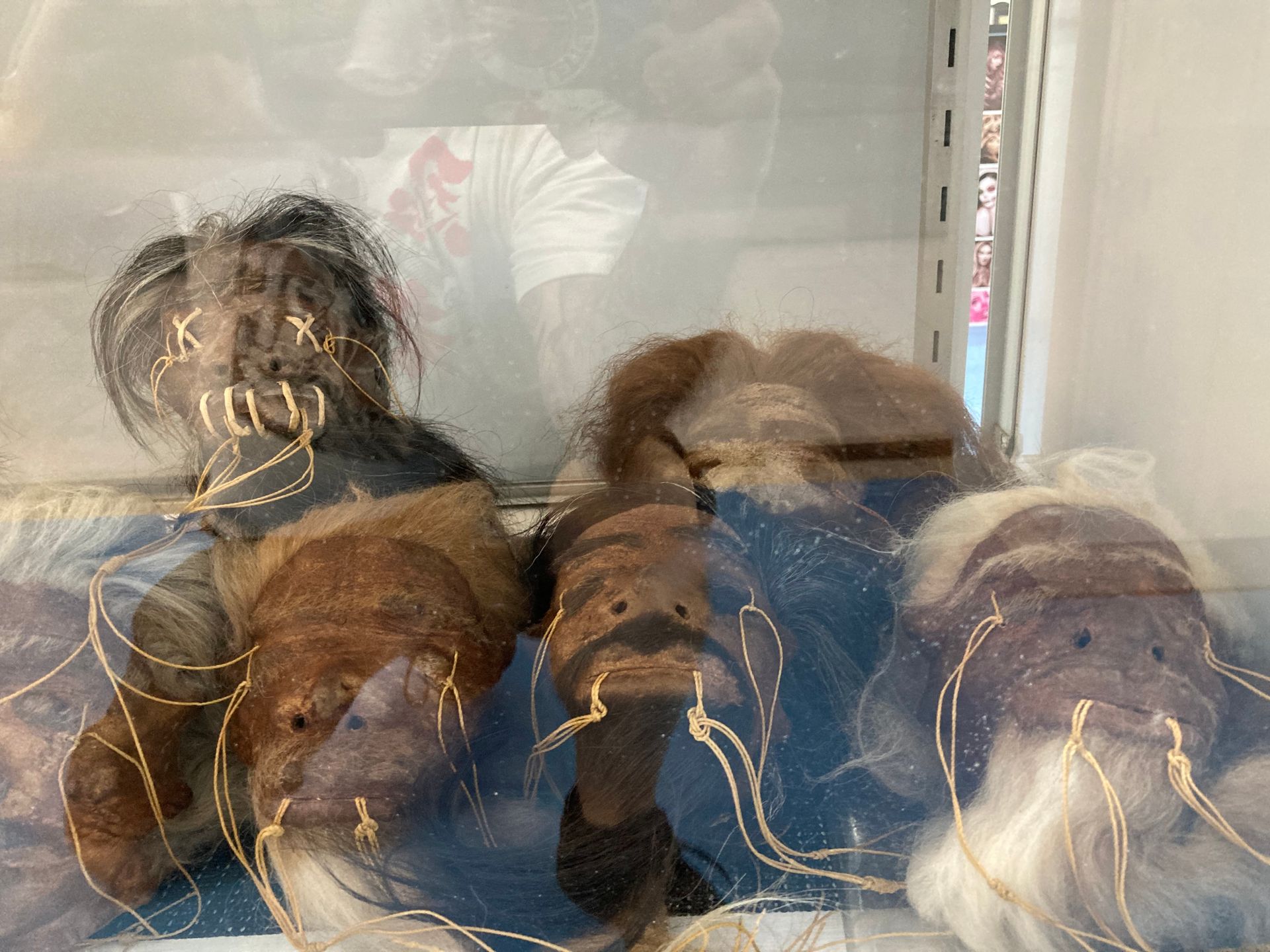 A Group of Stuffed Animals Are Sitting in a Glass Case — La Bomba Loca Tattoo in Cairns City, QLD