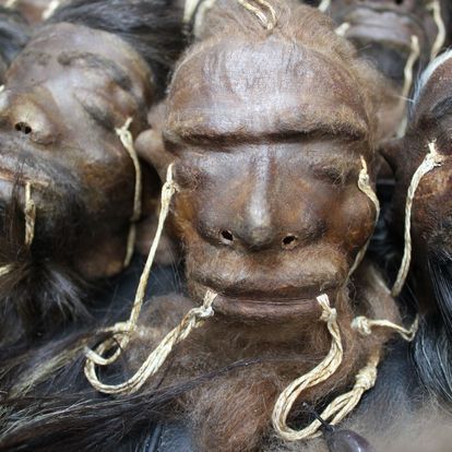 A Group of Monkey Heads Are Sitting on Top of Each Other — La Bomba Loca Tattoo in Cairns City, QLD