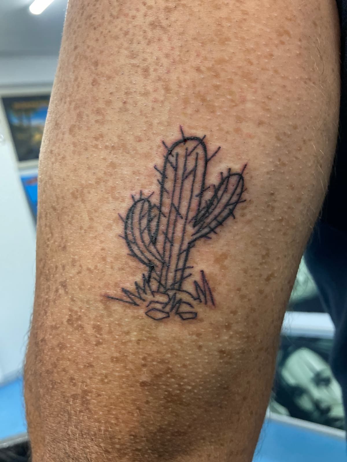 A Person Has a Tattoo of a Cactus on Their Arm — La Bomba Loca Tattoo in Cairns City, QLD