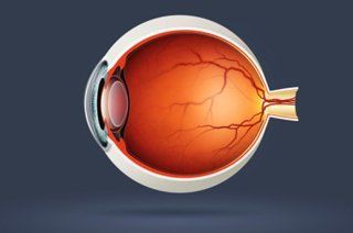 Glaucoma : Eye Care Exams and Surgery