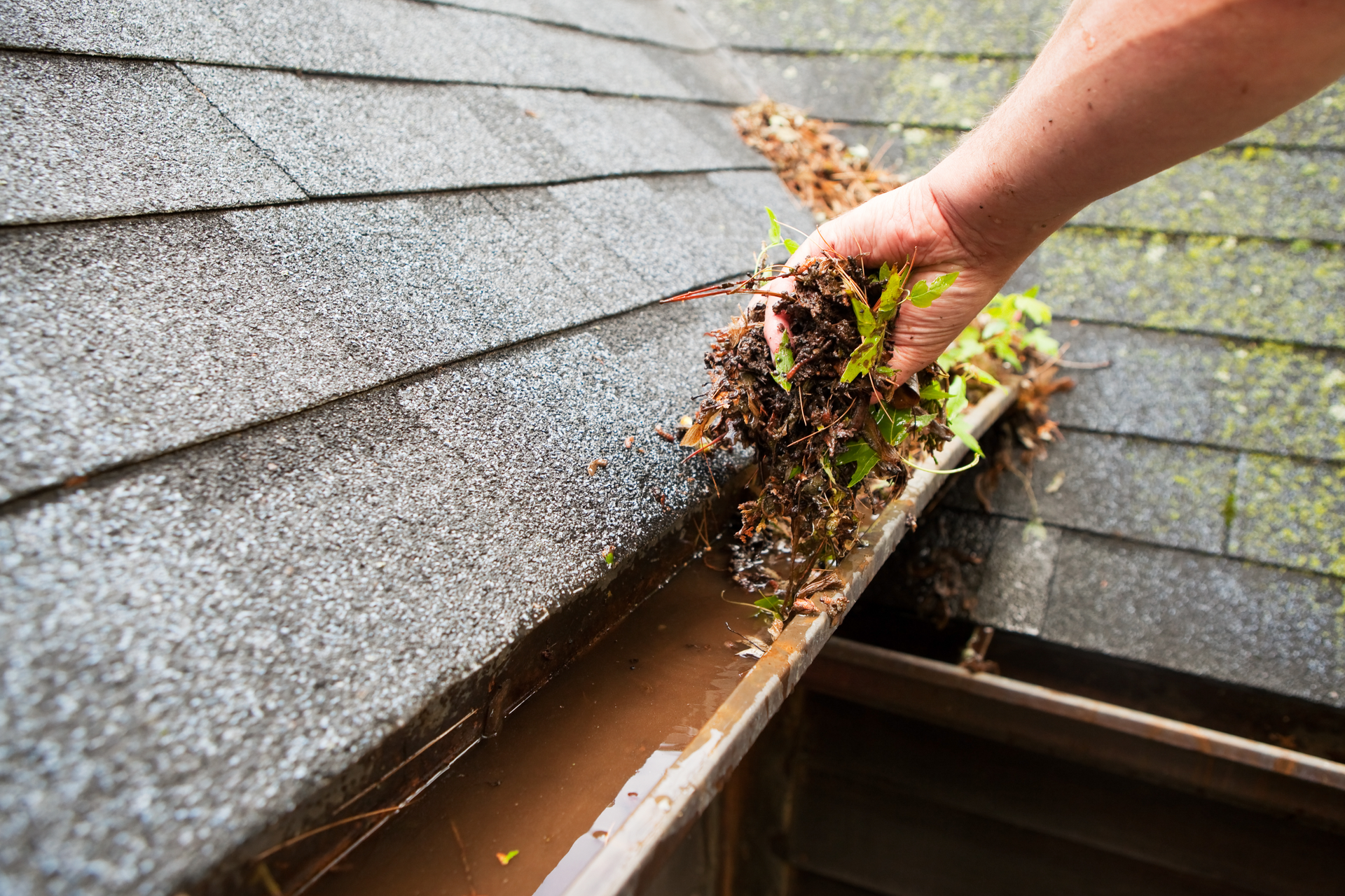 Person cleaning a gutter filled with leaves and debris on a rooftop.