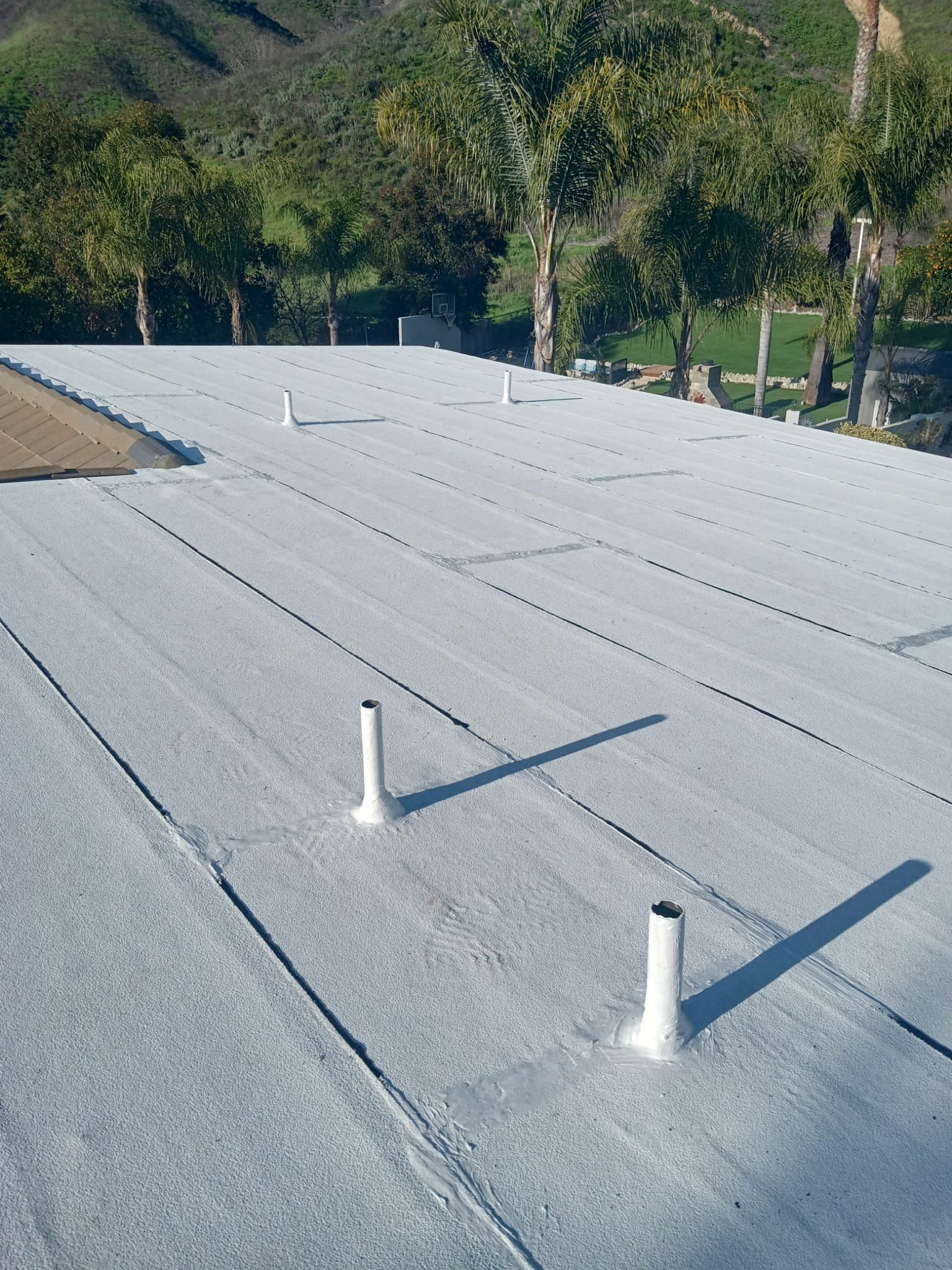 Flat roof covered in white material with several white pipes against a backdrop of trees and a hill.