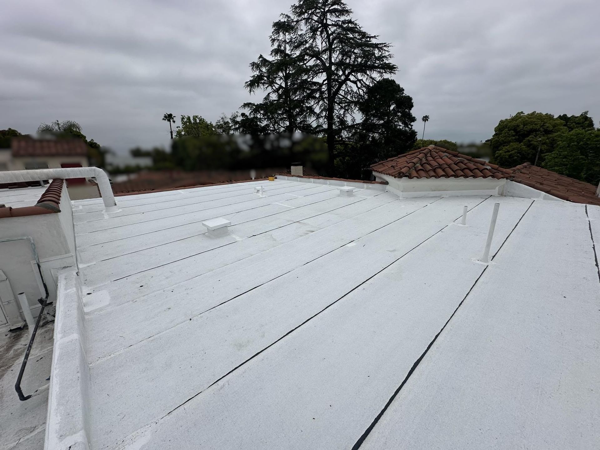 White-coated rooftop with black lines and vents, overcast sky. Trees and other buildings visible in the distance.