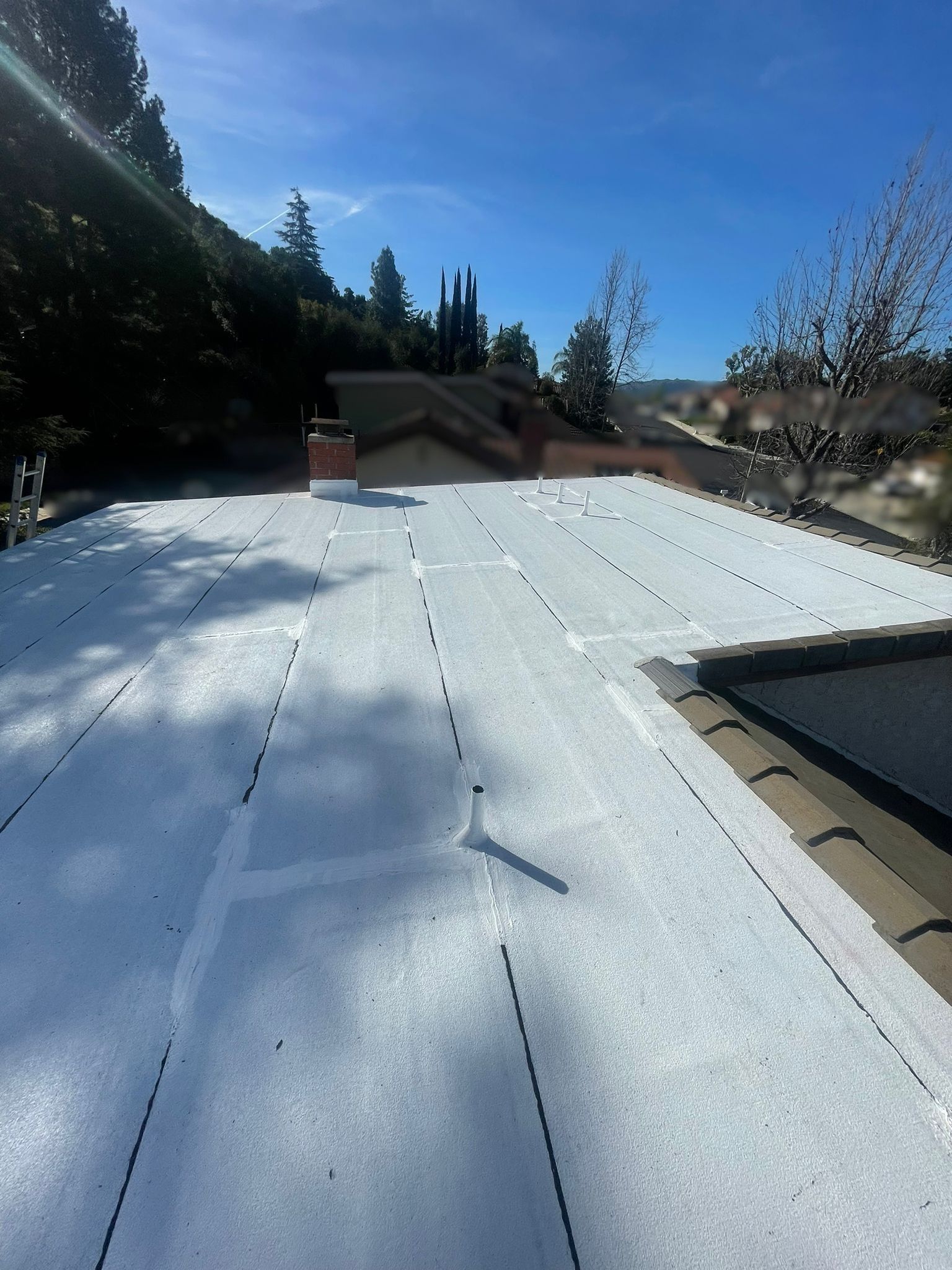 Flat, white roof with black seams under a bright blue sky.