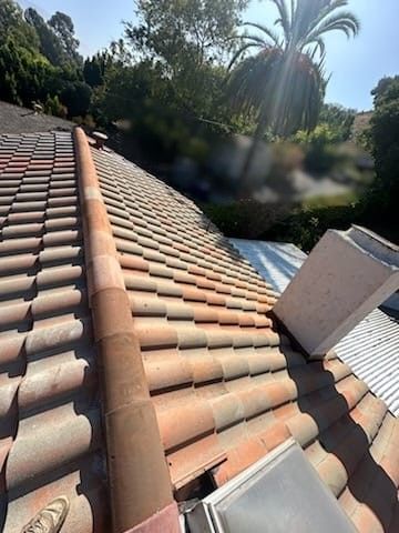 Tiled roof with a chimney, skylights, and gutter. Sunlight shines over trees and foliage.