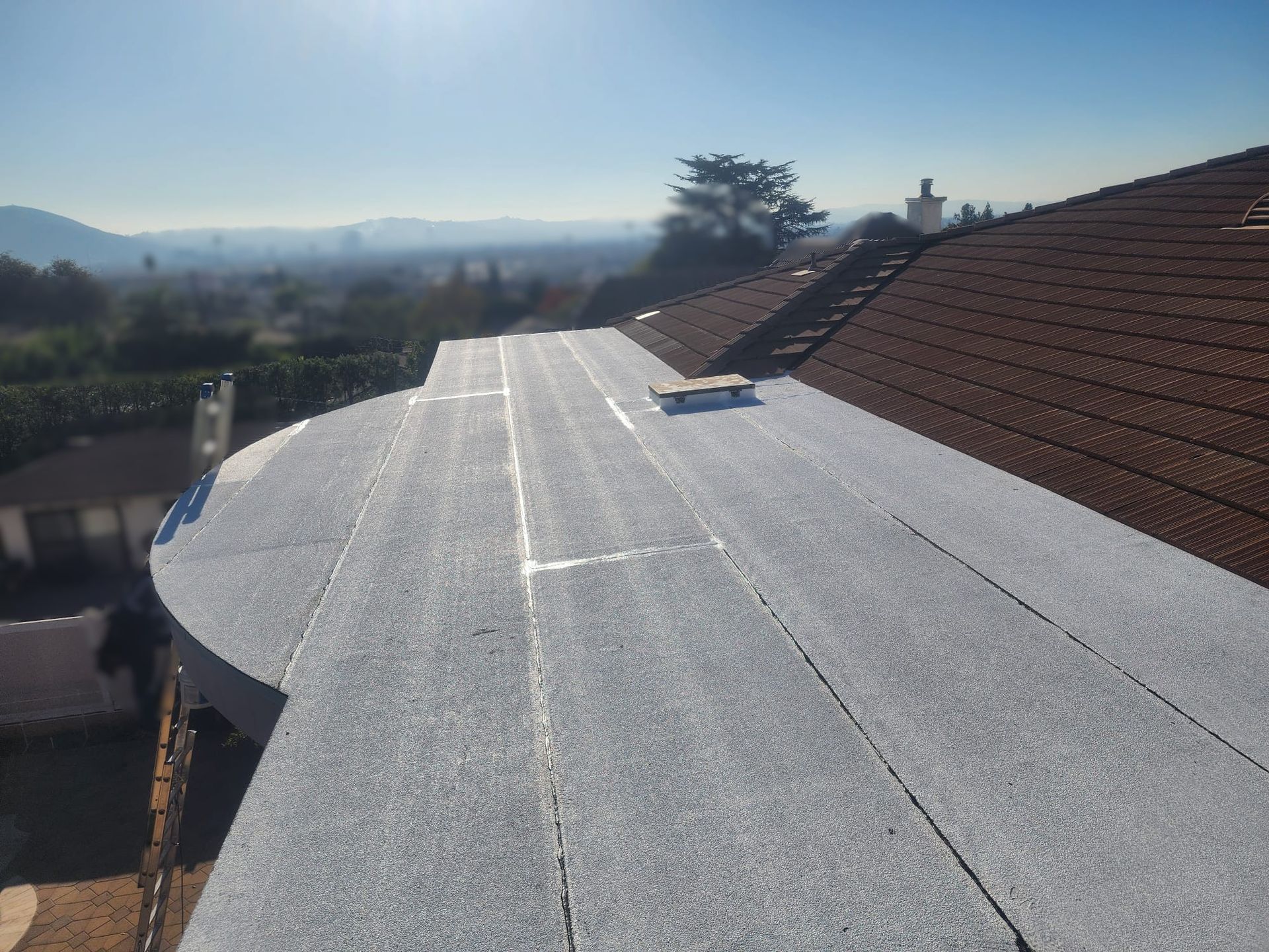 Gray flat roof with patches, adjacent to a red shingle roof; suburban landscape in the background.