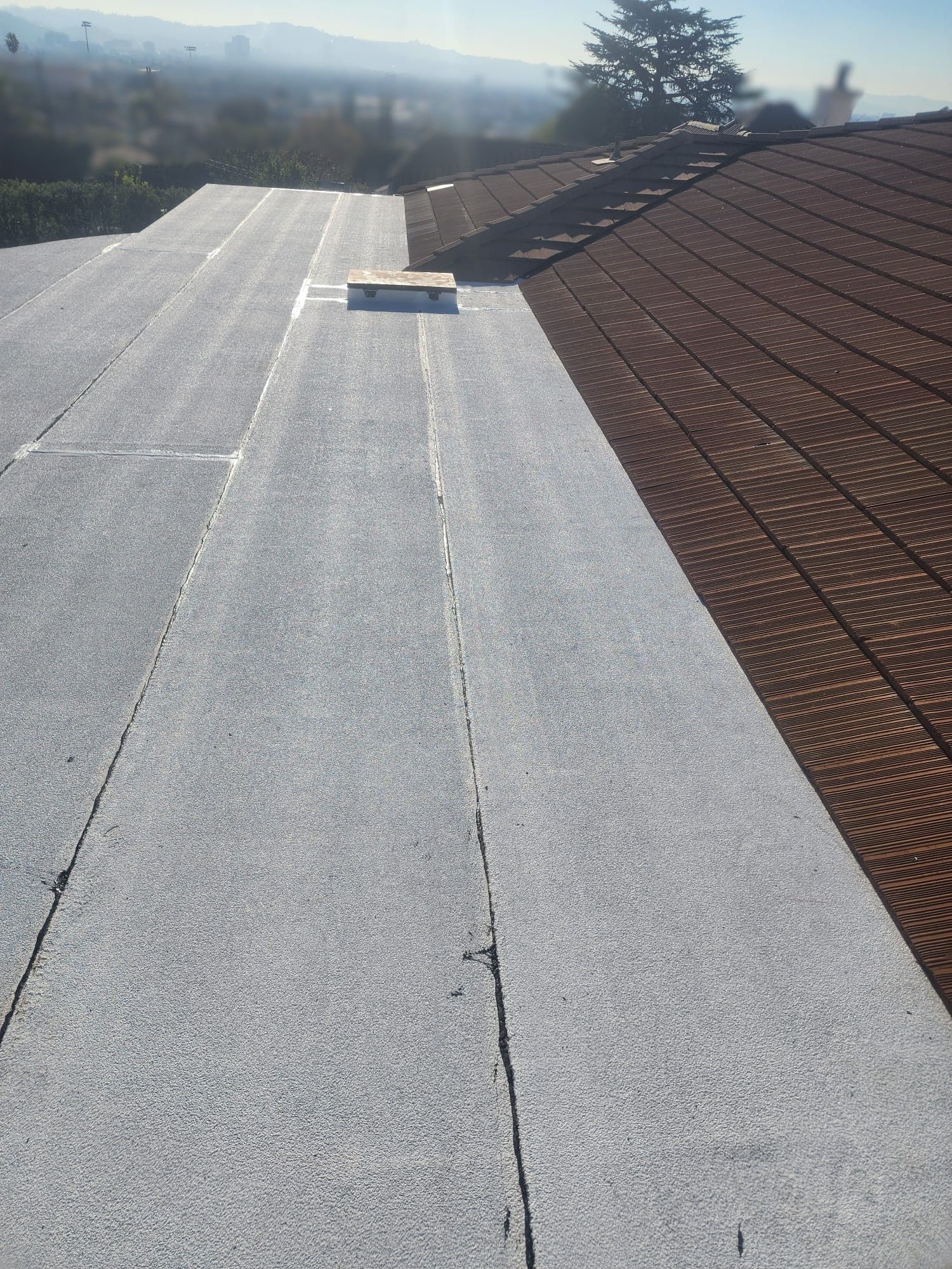 A house roof with dark shingles and a flat gray section. Sunlight and a tree are in the background.
