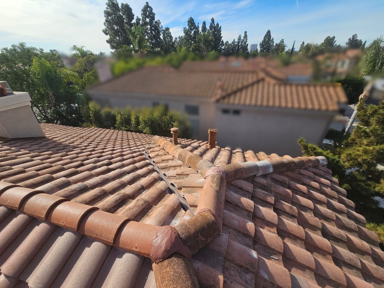 Clay tile roof with chimneys and a view of other houses and trees.