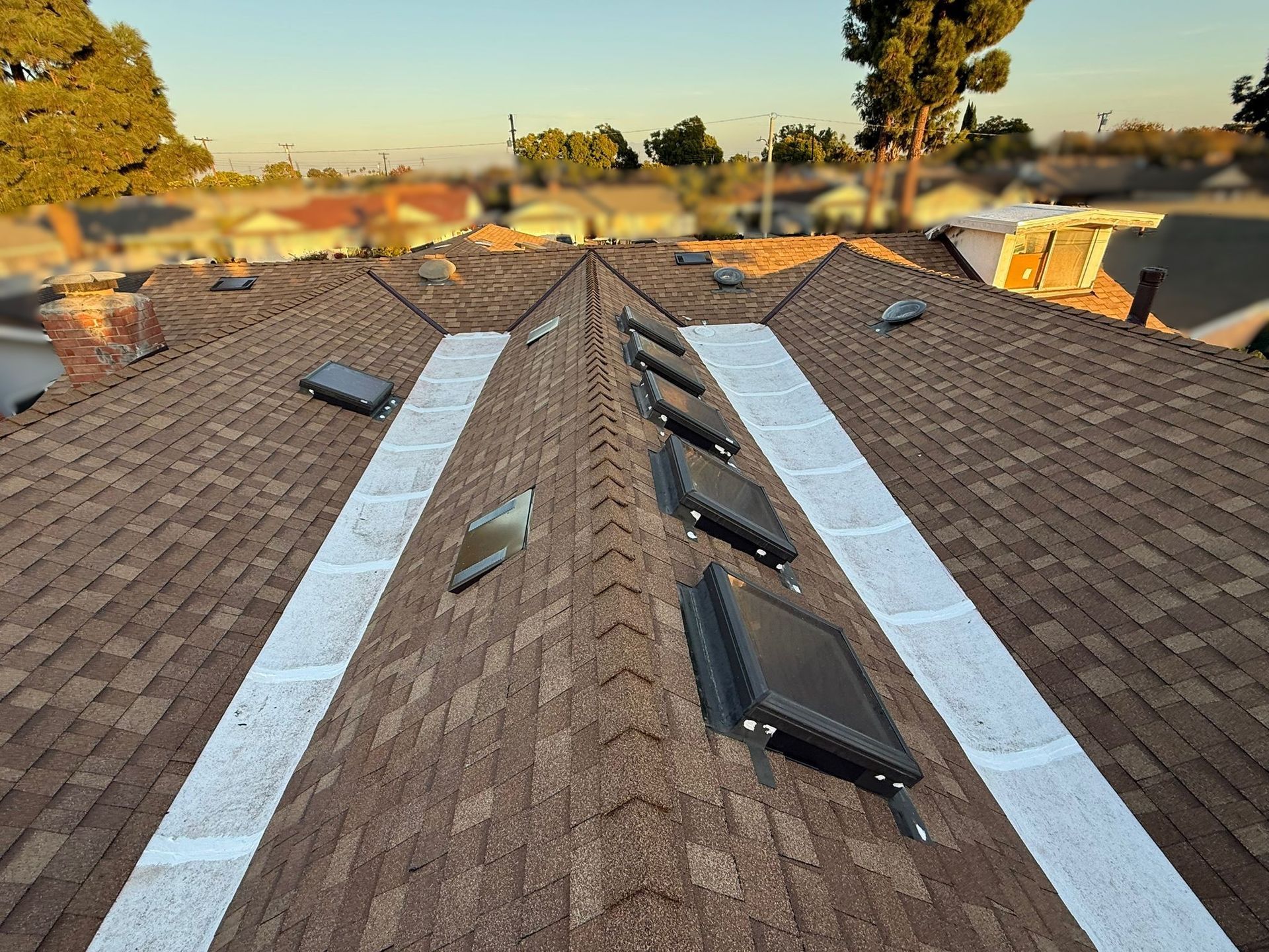 Brown shingle roof with several skylights, white trim. Houses in the background, sunny day.