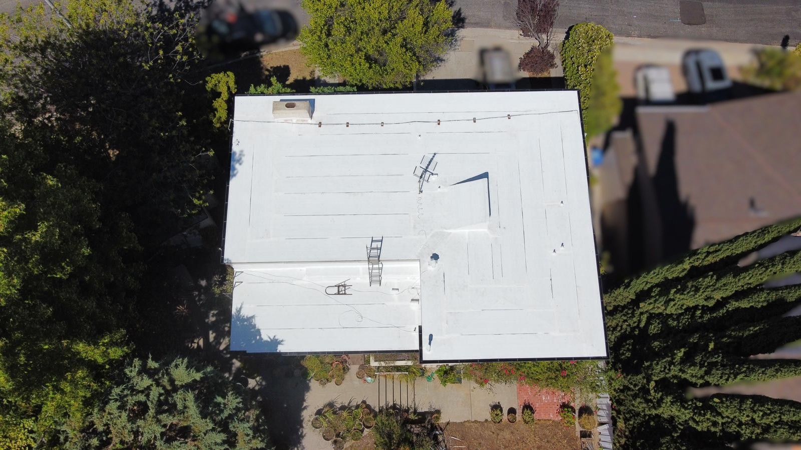 Overhead view of a white roof with damage and a ladder, surrounded by green trees and a street.