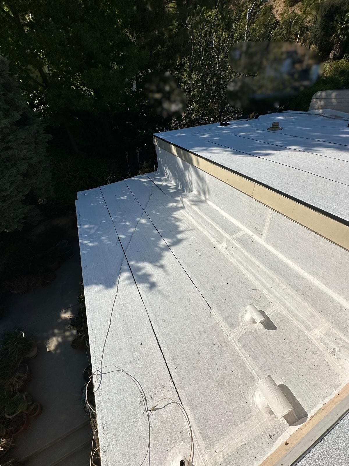 White flat roof with seams, edging, and trees in background.