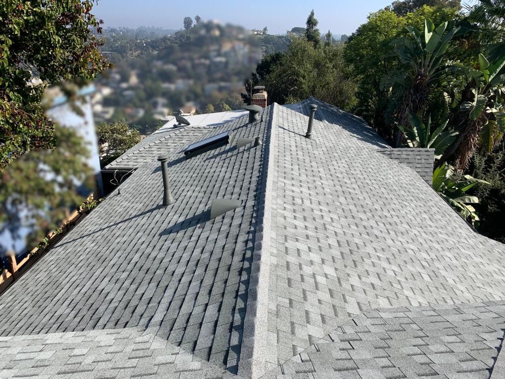 Gray shingled rooftop with vents and chimneys, set against a blurred city and trees in the background.