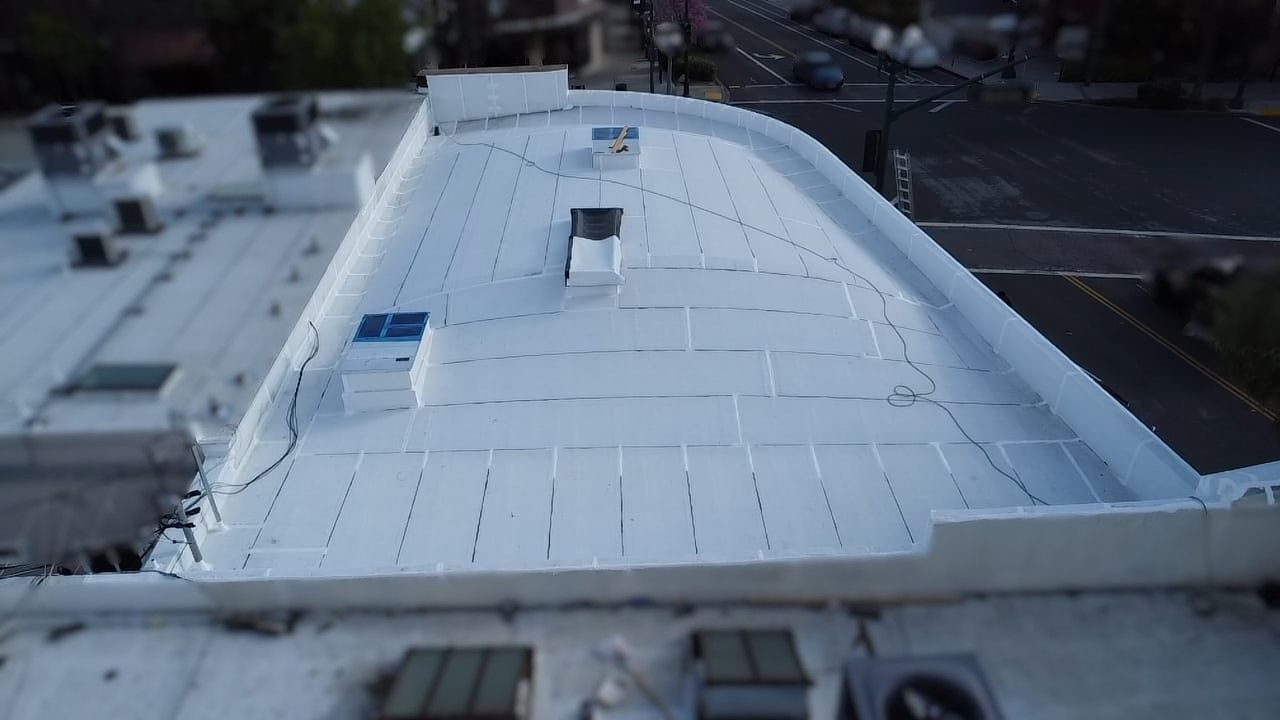 White, flat commercial roof; angled with skylights, vents, and city view background.