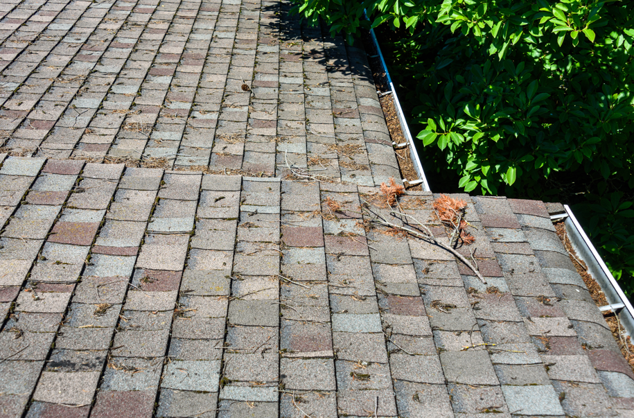 Brown shingled roof with debris, edge with gutter, green foliage in background.