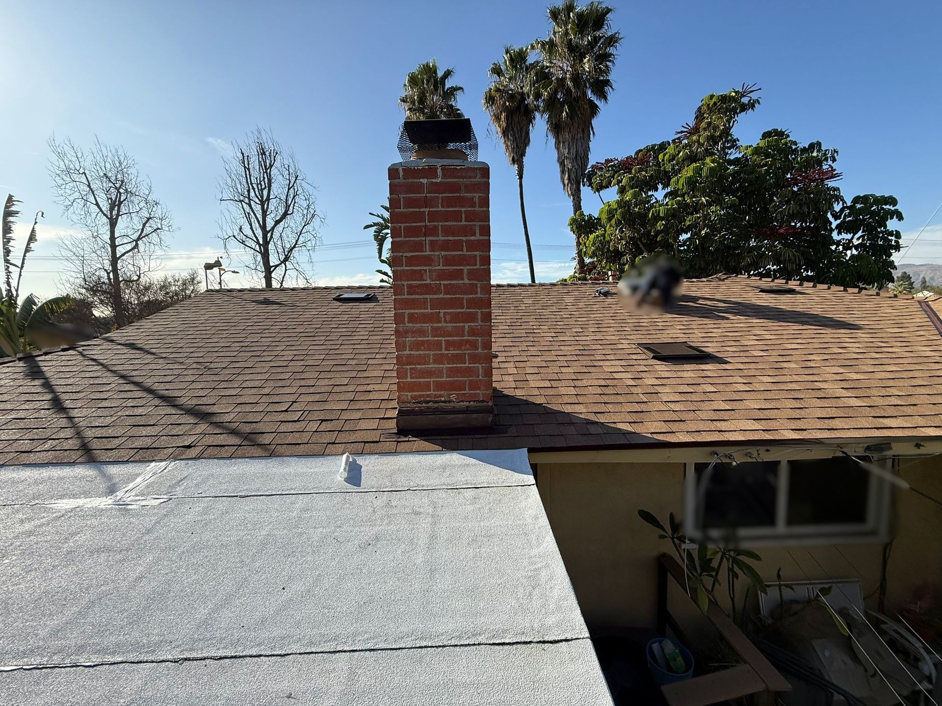 Brick chimney on a brown shingled roof, a white flat roof in foreground, palm trees in the background.