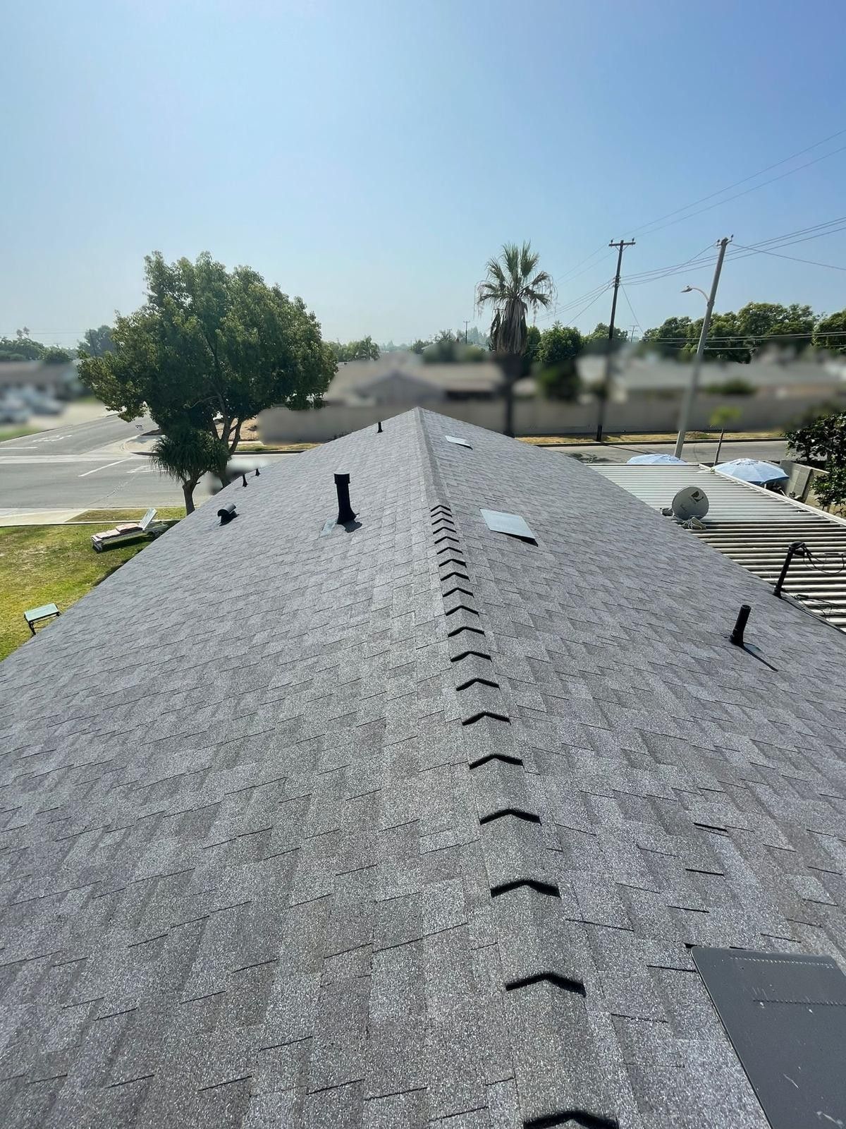 Gray shingle roof with black vents, seen from above, sunny outdoor setting.