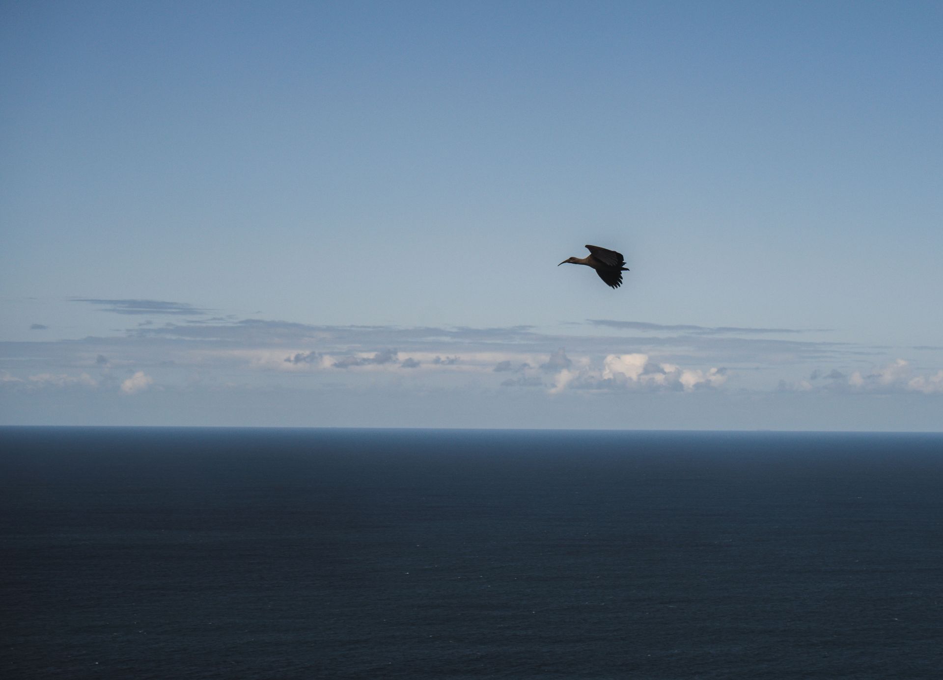 Featherbed Nature Reserve