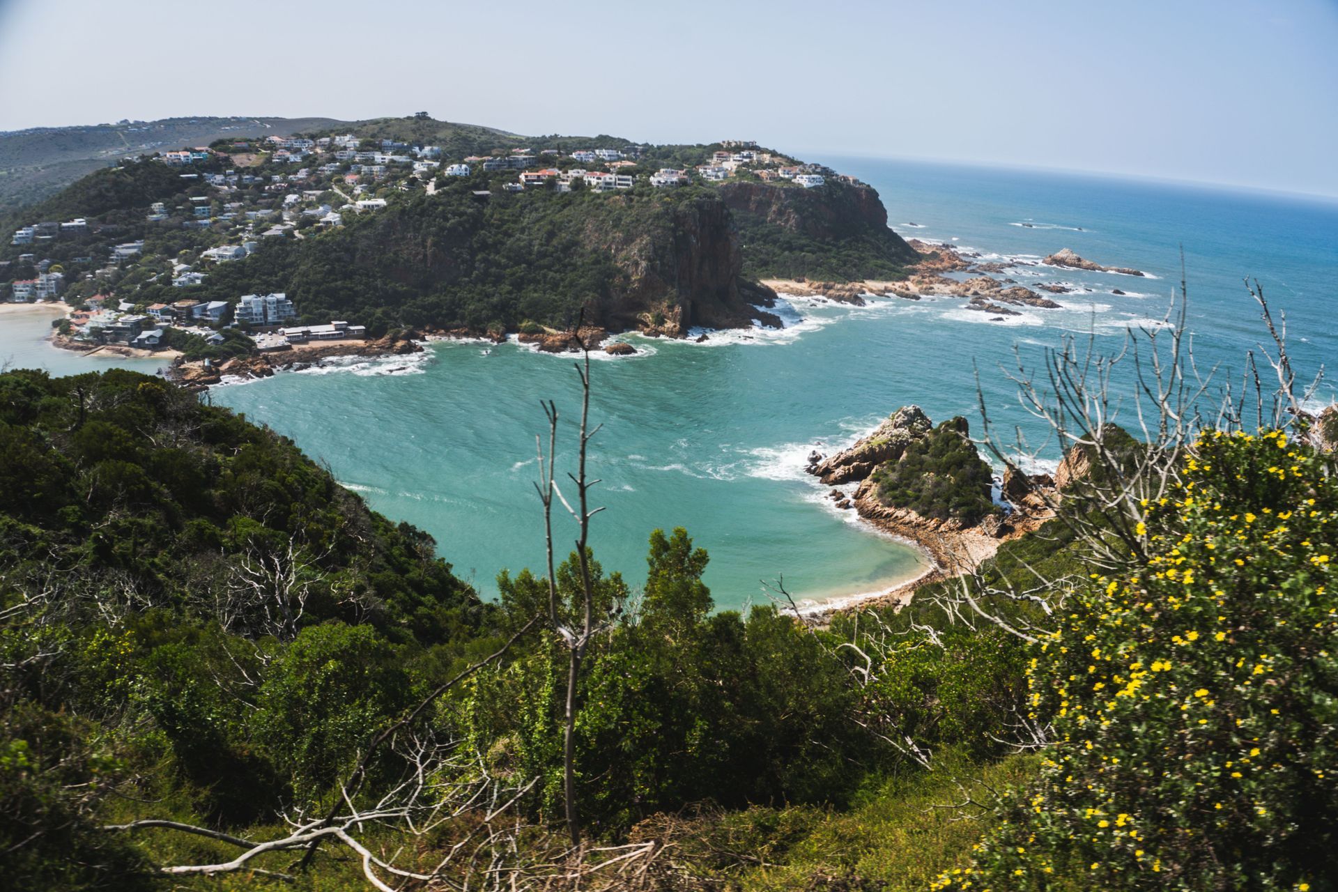 Featherbed Nature Reserve