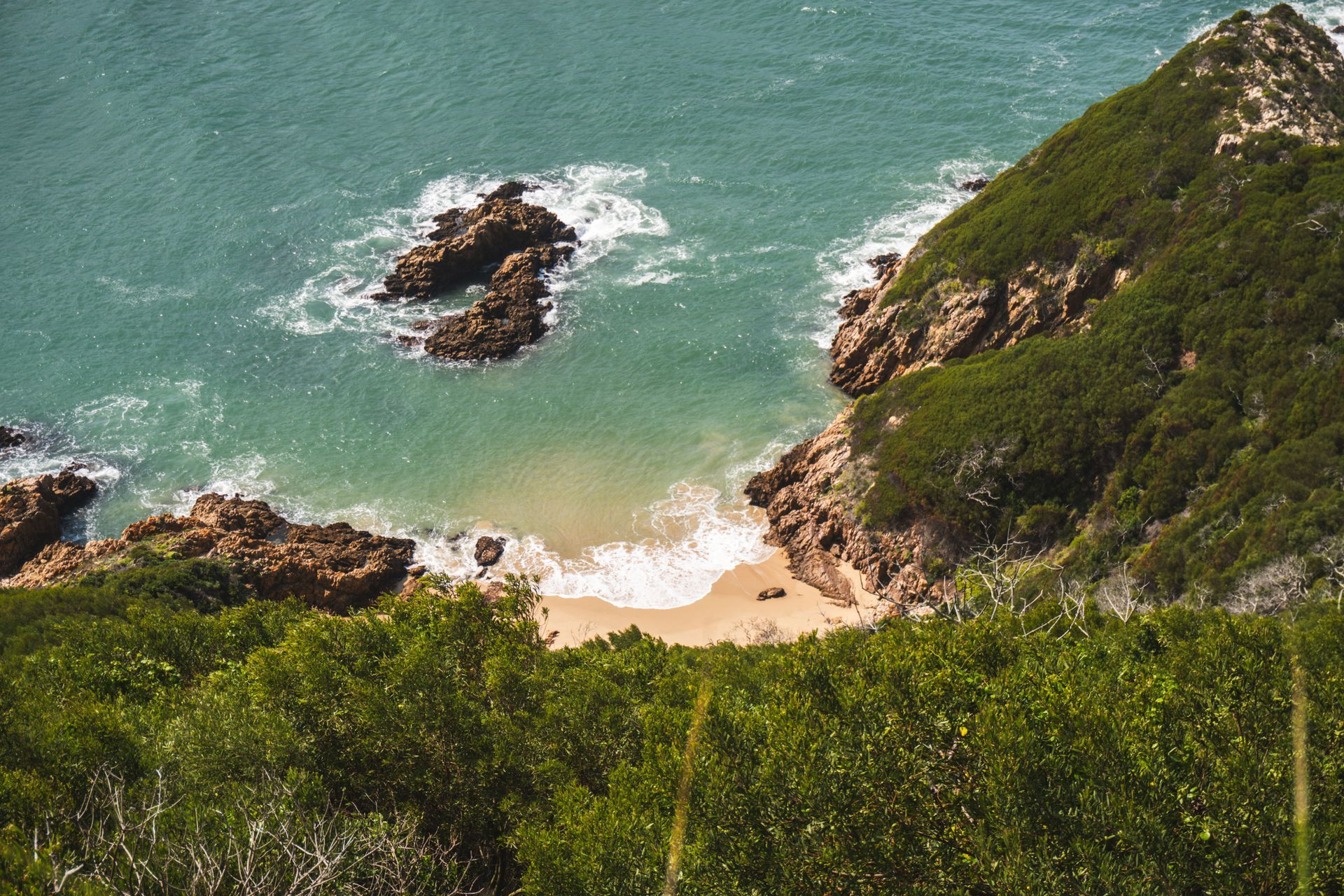 Featherbed Nature Reserve