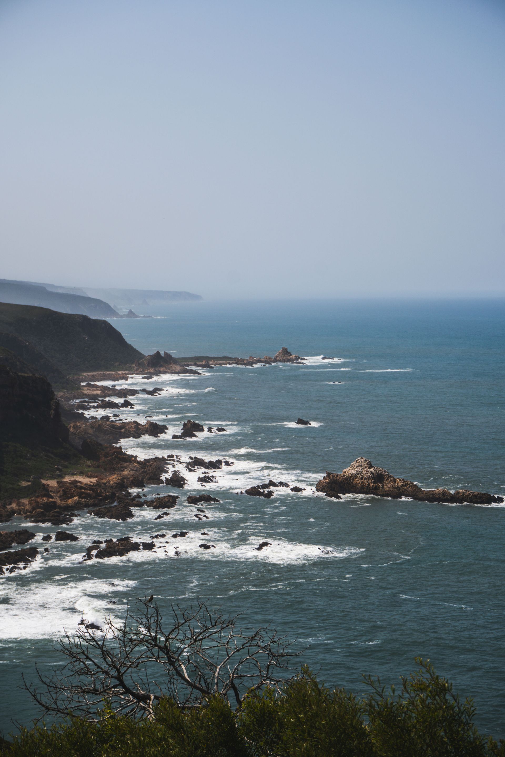Featherbed Nature Reserve