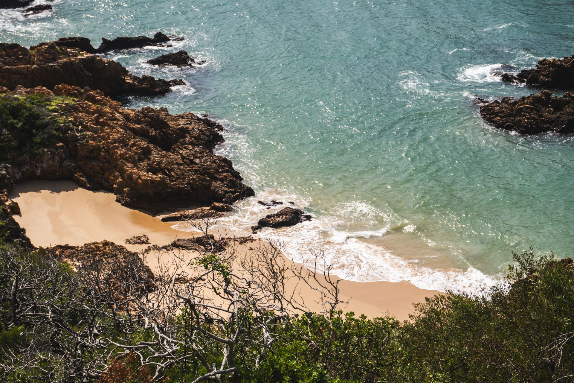 Featherbed Nature Reserve