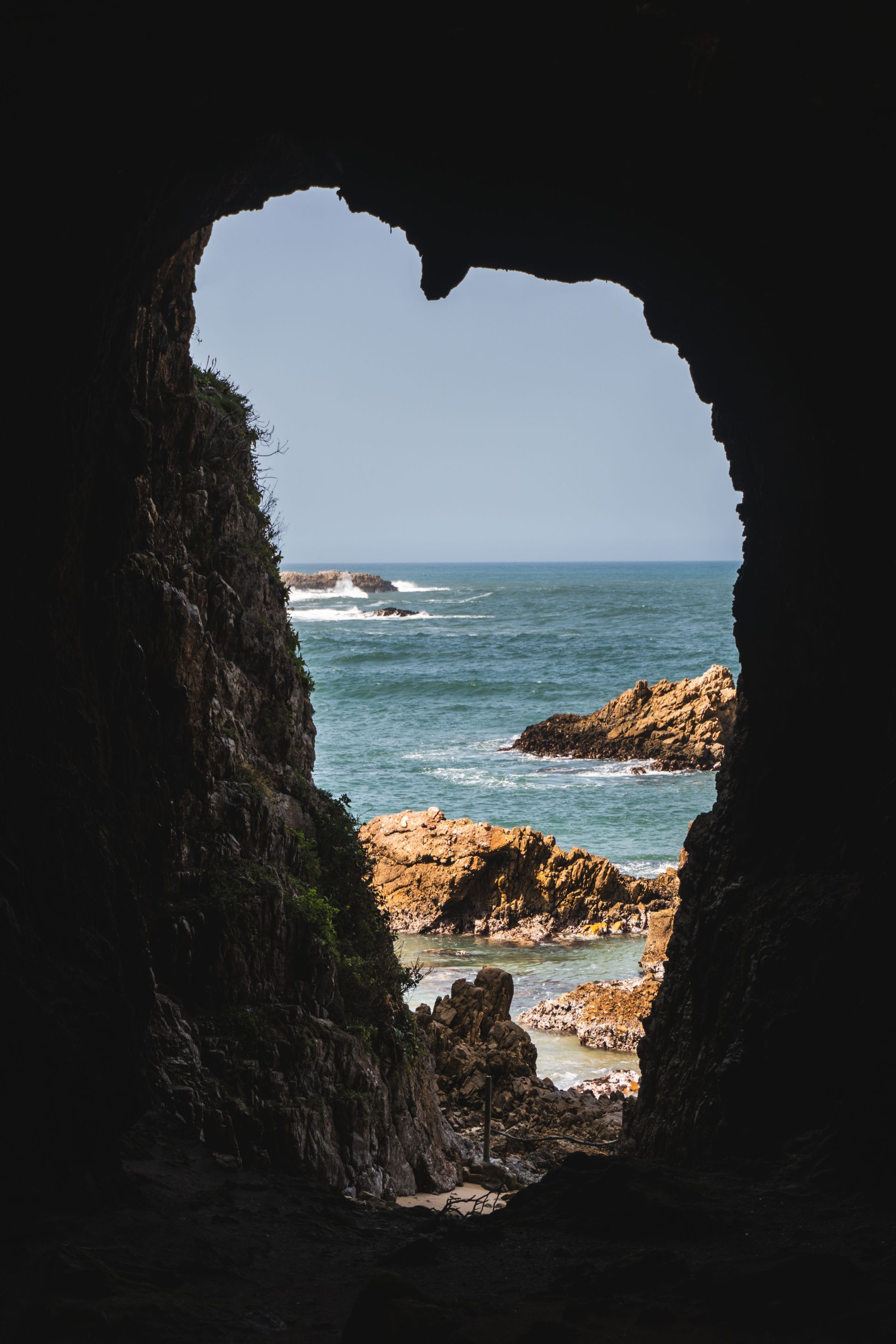 Featherbed Nature Reserve