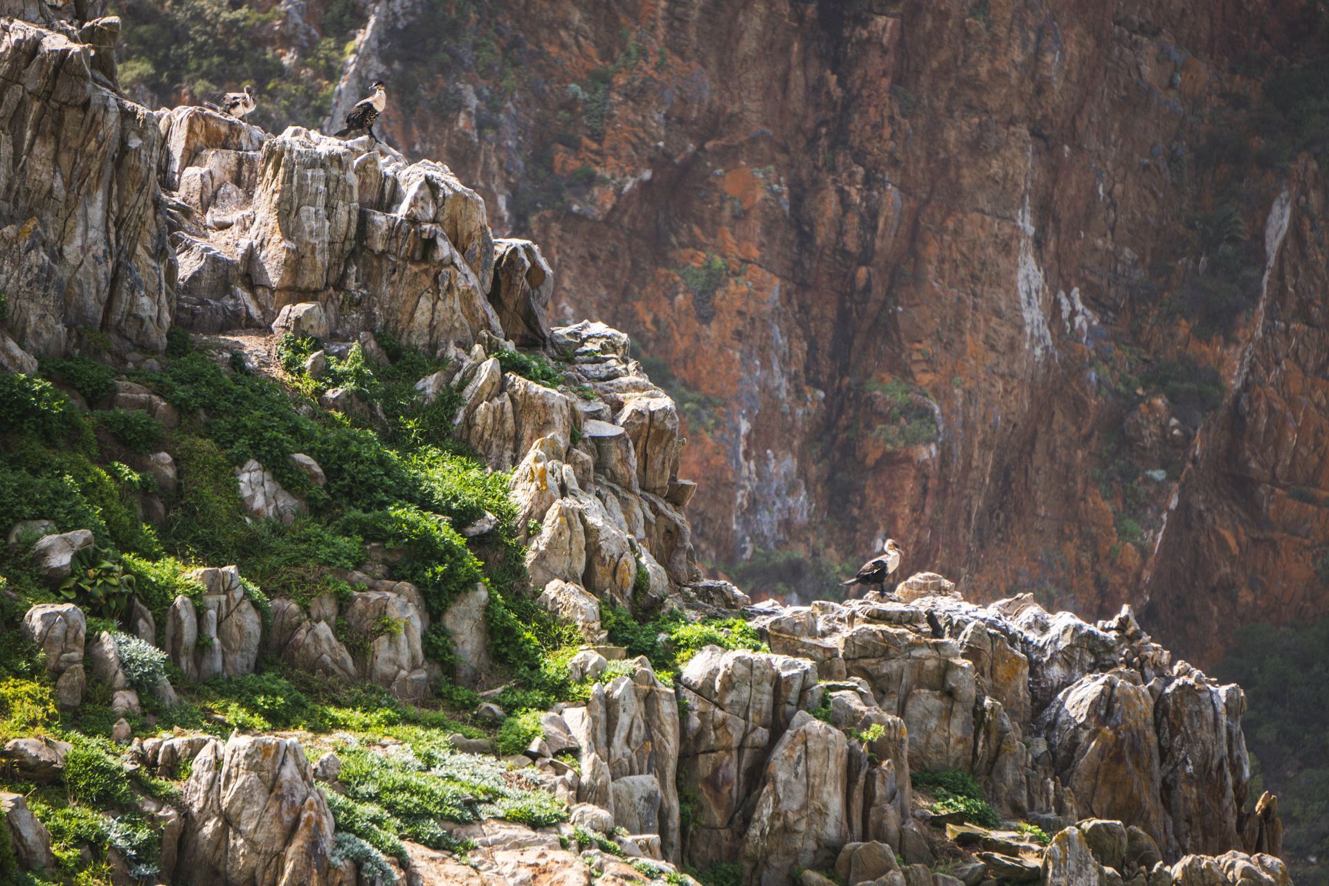 Featherbed Nature Reserve