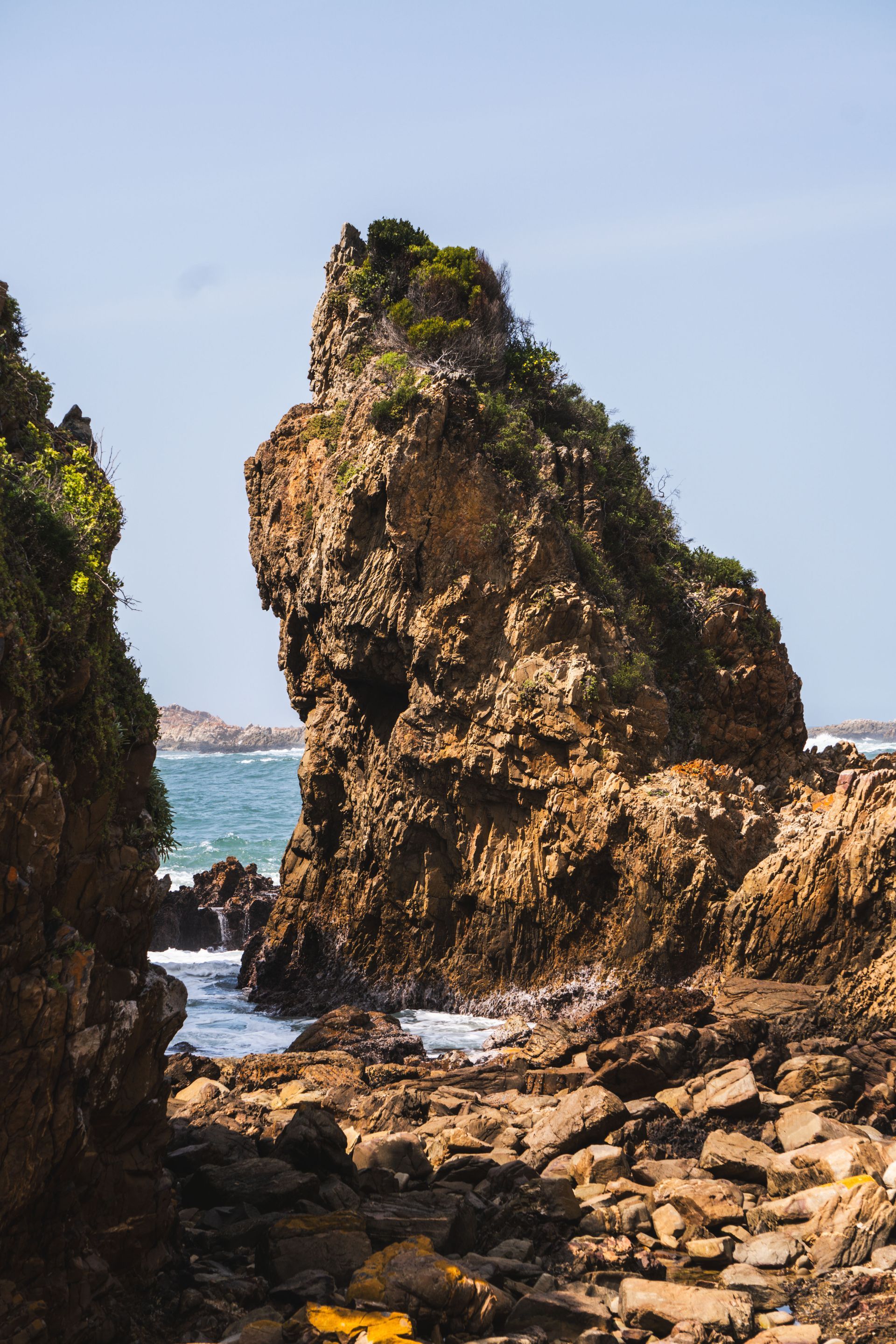 Featherbed Nature Reserve