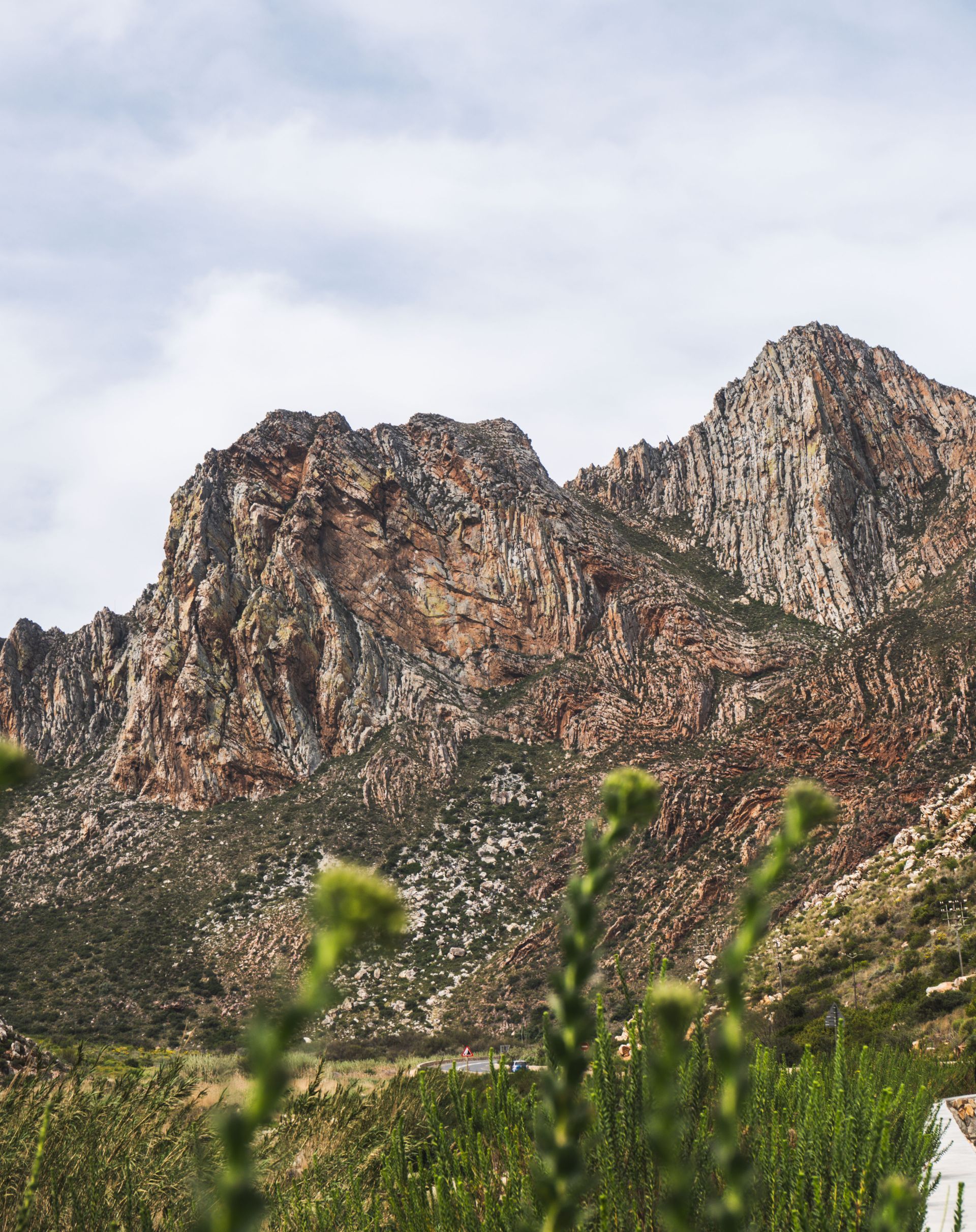 Tsitsikamma National Park
