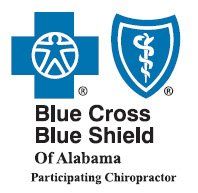 Blue Cross/Blue Shield