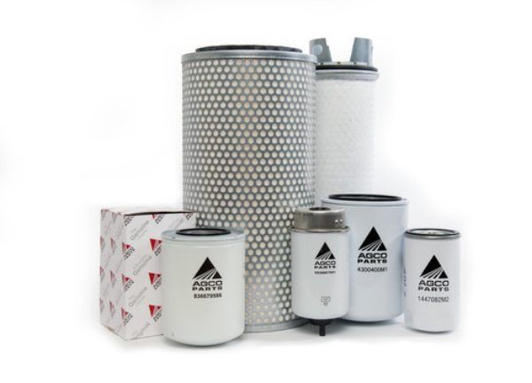 Un gruppo di diversi tipi di filtri sono posizionati uno accanto all'altro su una superficie bianca.