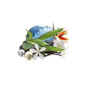 Globe surrounded by foliage, flowers, and pebbles.