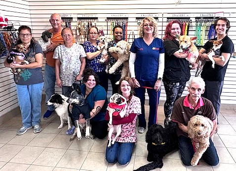 A group of people are posing for a picture with their dogs.