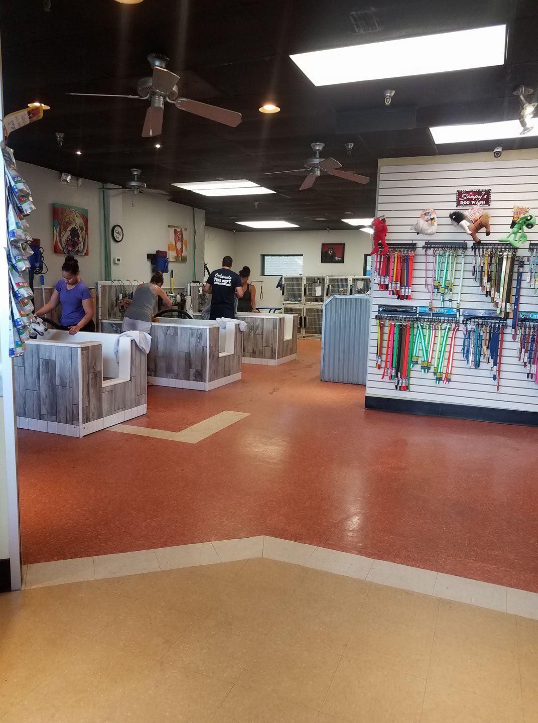 A store with a sign that says fox on it