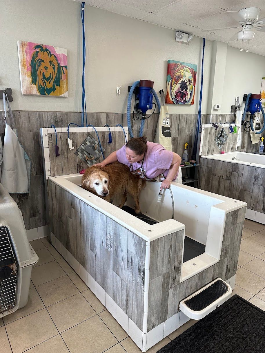 A woman is washing a dog in a bathtub in a grooming salon.