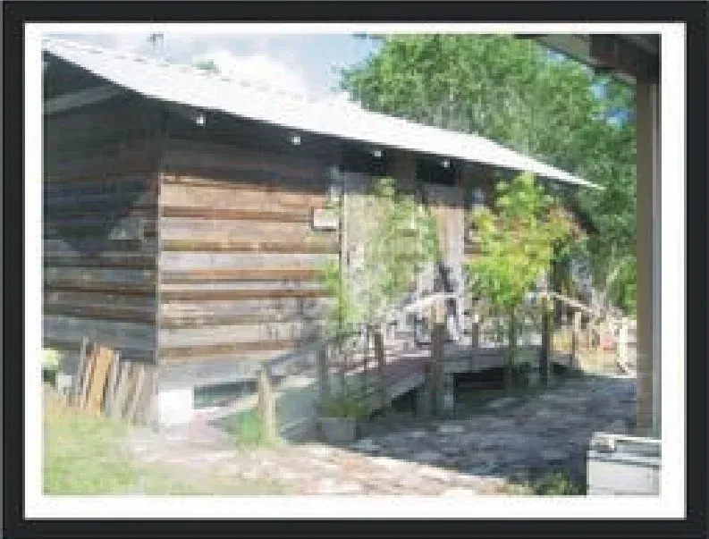 A picture of a wooden house with a metal roof surrounded by trees.