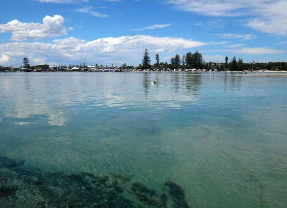 A Large Body of Water With Trees in the Background — Slimes Boardstore in The Entrance, NSW