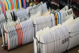 A Lof Surfboard Display — Slimes Boardstore in Erina, NSW