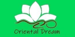 Logo oriental dream paris 8