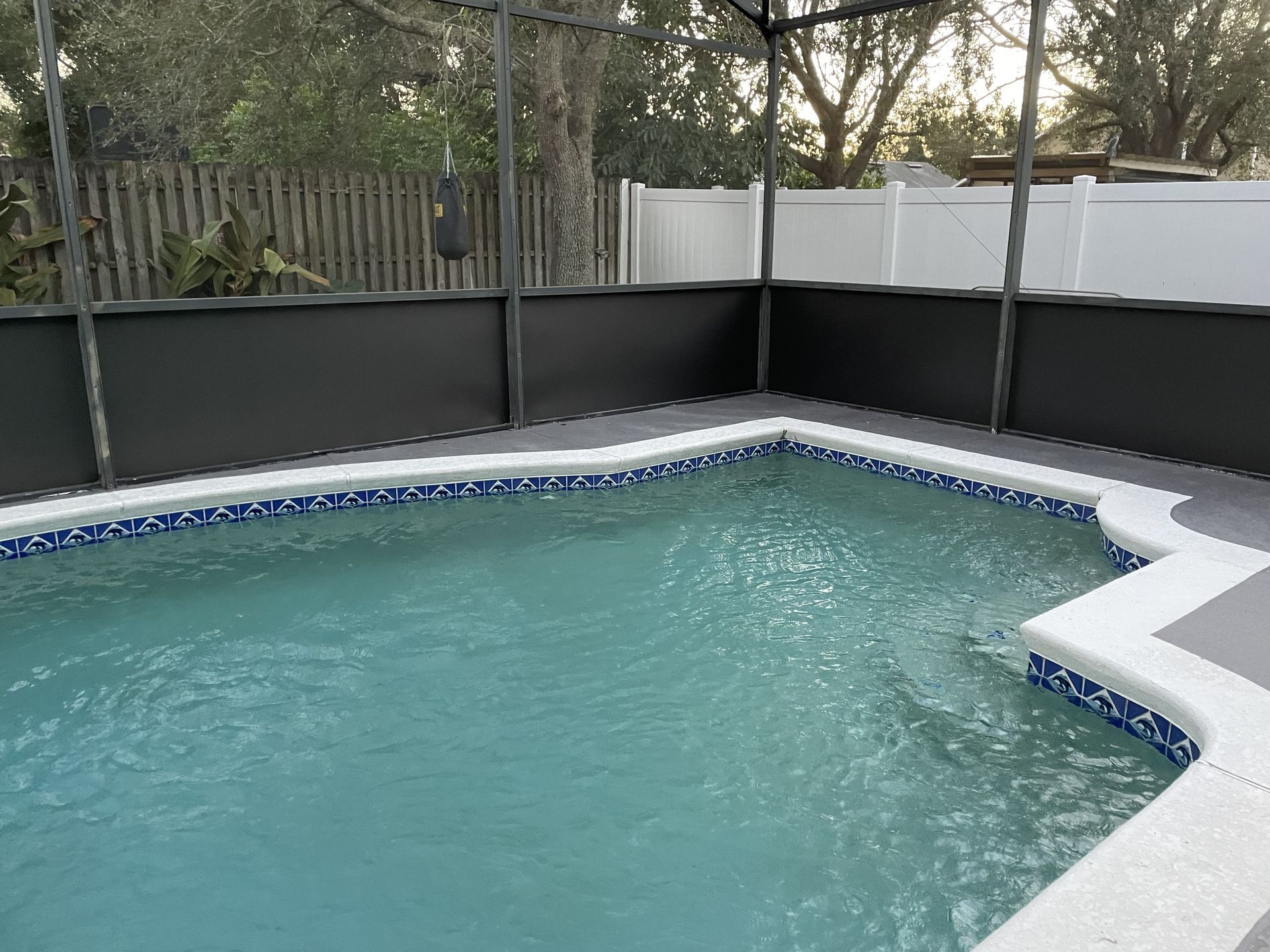 A swimming pool with blue-and-white decorative tile edging, enclosed by a black screen cage against a white fence.