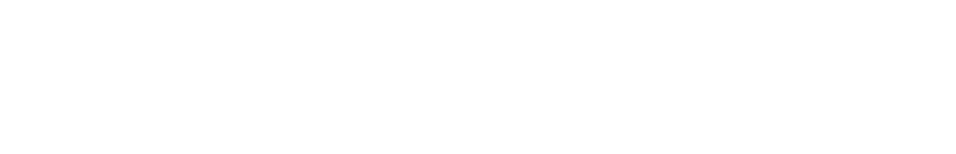 International Jets logo white