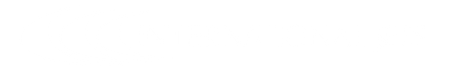 International Jets logo white