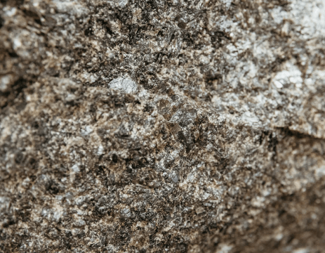 A close up of a rock with a lot of small stones on it.