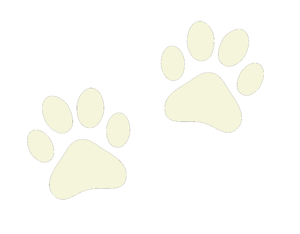 Impronte di zampe color crema, due serie, su sfondo bianco.