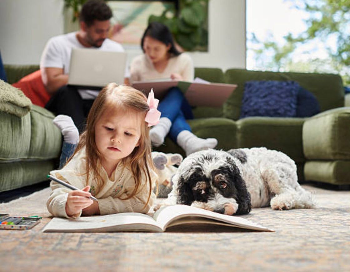 Green Team MN Residential Carpet Cleaning, serving all of the Twin Cities Area