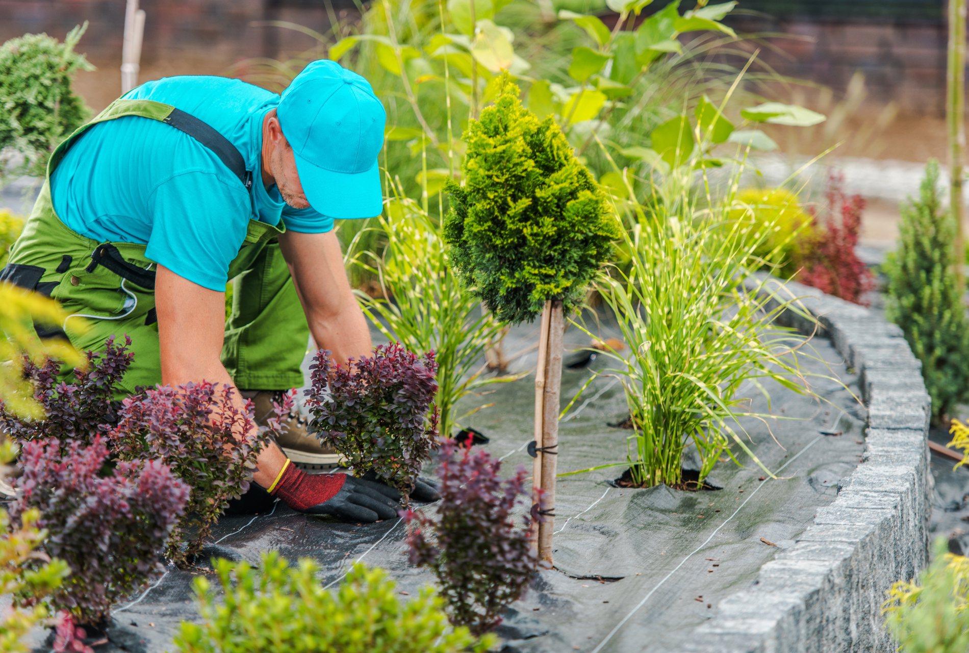 Plant Healthcare in Kane County